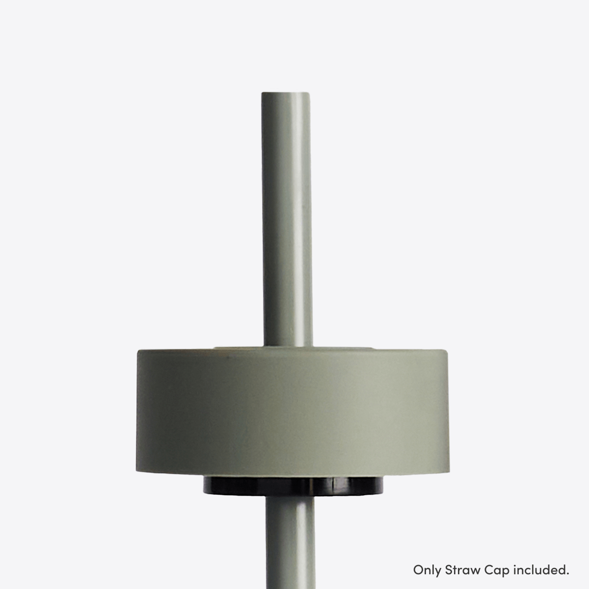 Beast Straw Cap